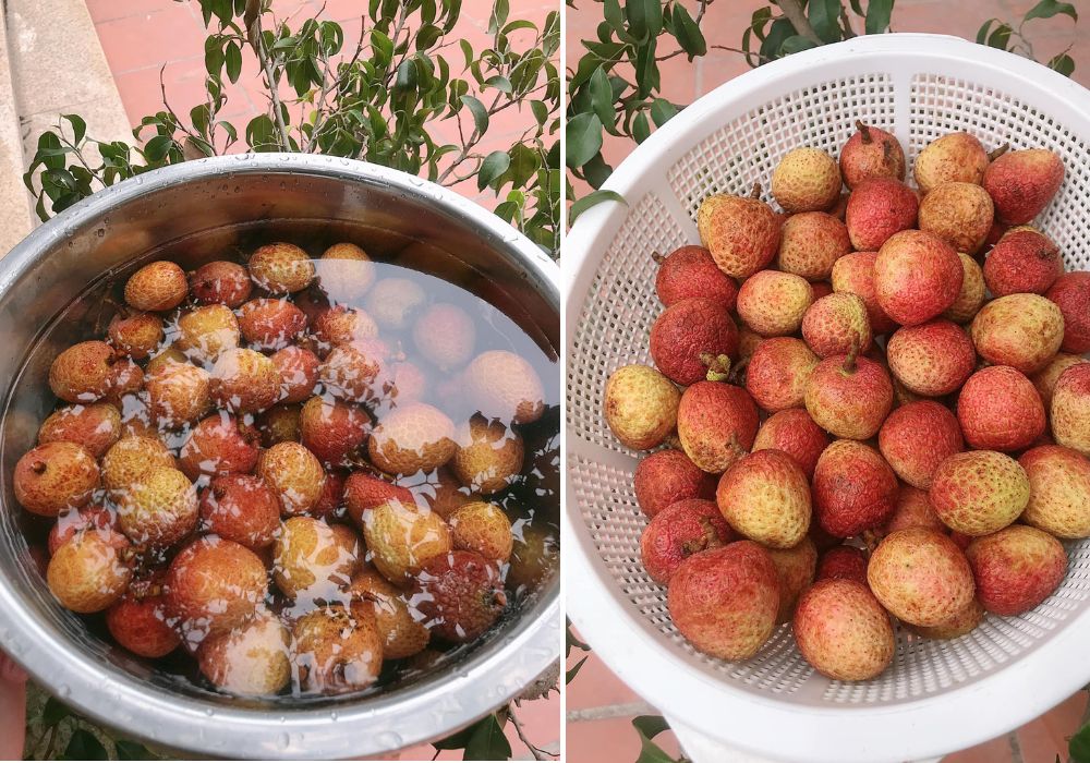 Trụng sơ vải và ngâm vào nước lạnh